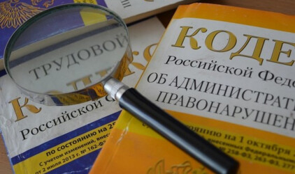 Экономист Коган назвал «микроскопическим» эффект от налога на бездельников