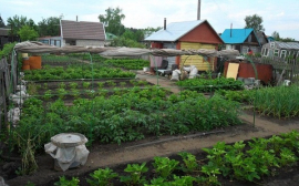 В Татарстане продлена программа финансовой помощи садоводствам на обустройство инфраструктуры