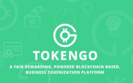 Возможности блокчейн-платформы TokenGO