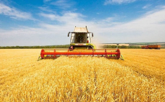 Аграрии Татарстана получили из бюджета 13,7 млрд рублей