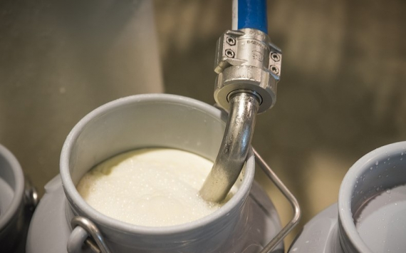 Татарстан перевыполнил план по надоям молока на 2%