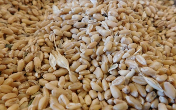 Аграрии Татарстана намолотили первый миллион тонн зерна