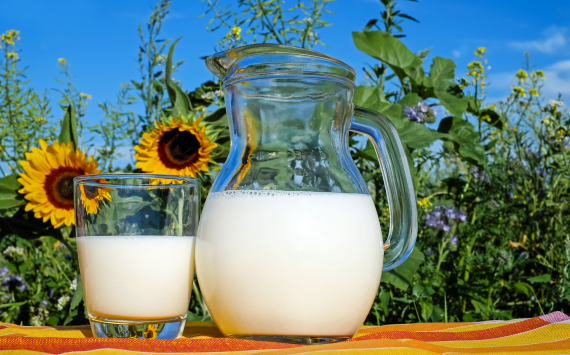 В Татарстане аграрии Балтасинского района выдали рекордные 300 тонн по суточному производству молока