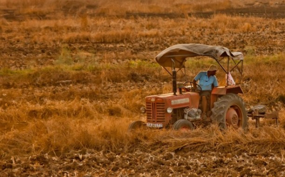 В Татарстане производство сельхозпродукции может сократиться на 18,3%