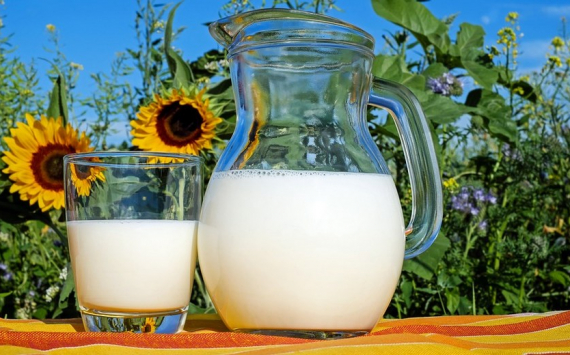 В Татарстане из-за снижения закупочной цены на молоко хозяйства потеряли 205 млн рублей