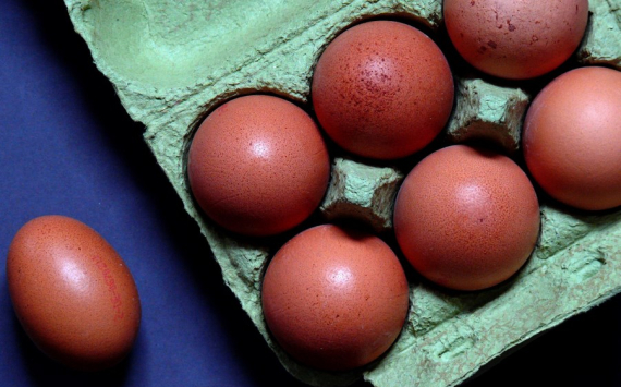 Татарстан своими силами справился с дефицитом куриных яиц