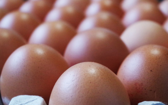 В Татарстане цены на куриные яйца упали на 1,5%