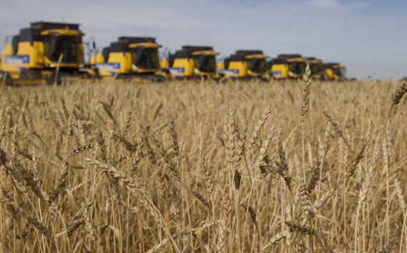 Медведев заявил о рекордном урожае зерна за всю историю России